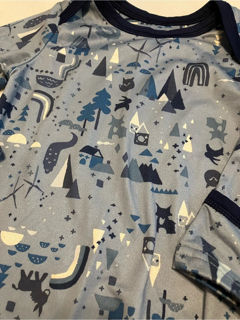 Patagonia Blue Forest Print Baby Bodysuit & Pants Capilene Set